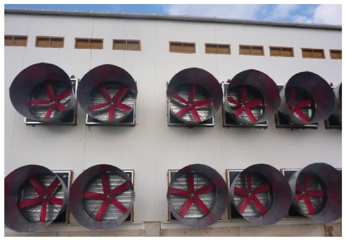Fiberglass Cone Fans