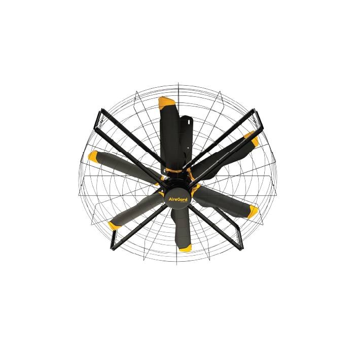 Wall Mounted Fans