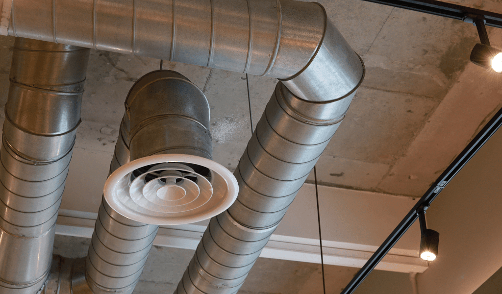 Untitled design (13) (Demo)