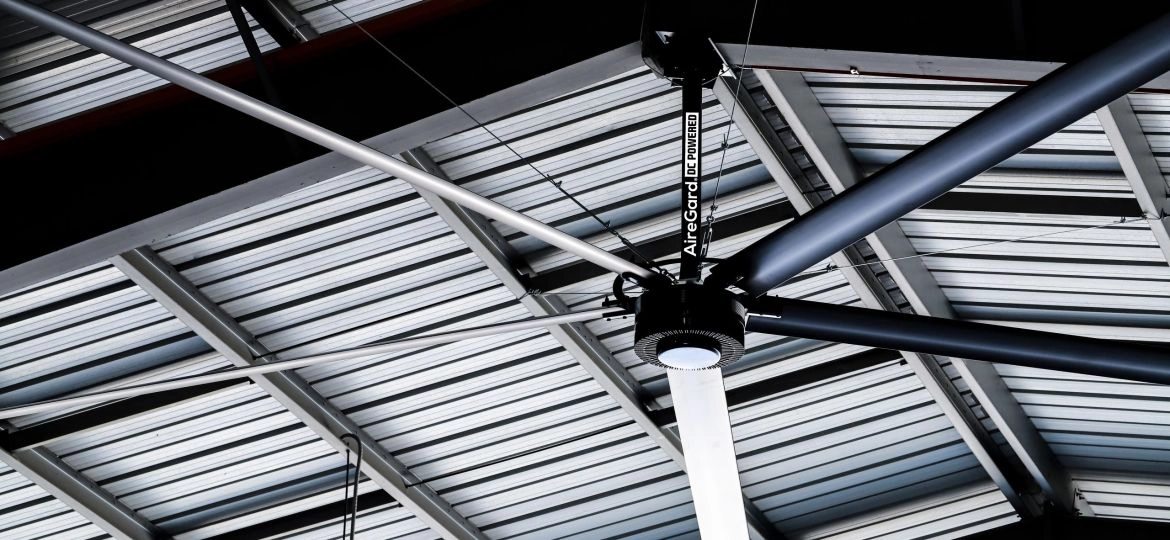 PSX-MFA_IMG_0850_ps_EDITED (Demo)