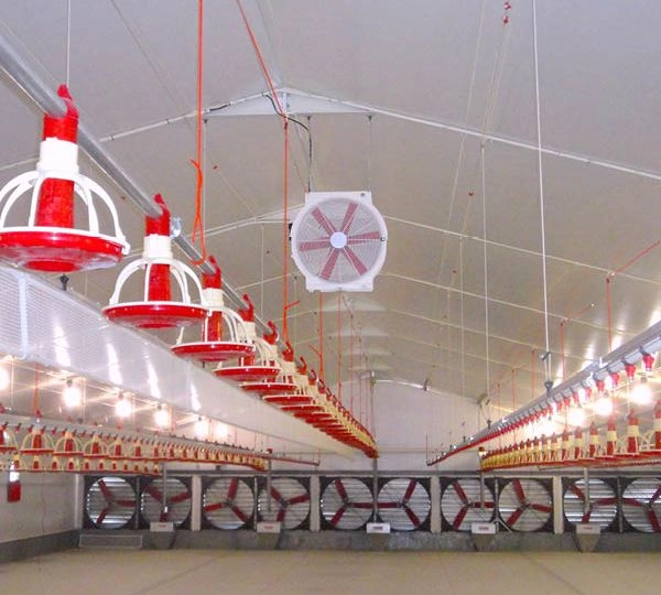 AireGard Galvanized Box and Circulation for Poultry R