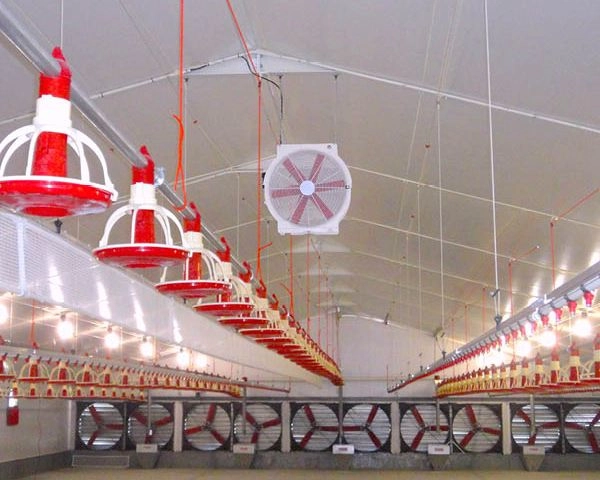 AireGard Galvanized Box and Circulation for Poultry R