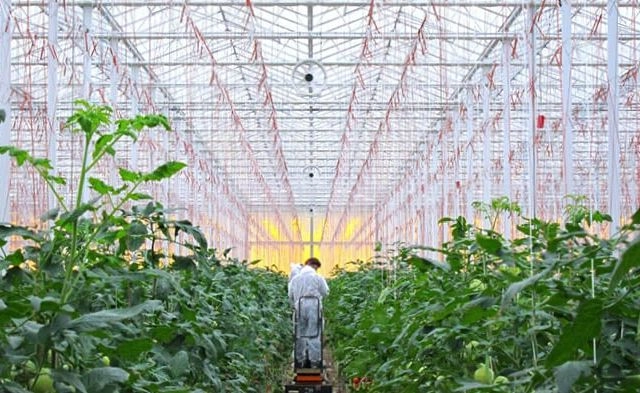 AireGard Horizontal Circulation Fan Greenhouse L