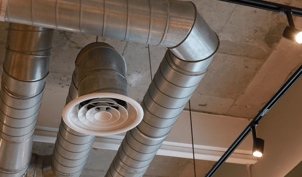 Untitled design (13) (Demo)