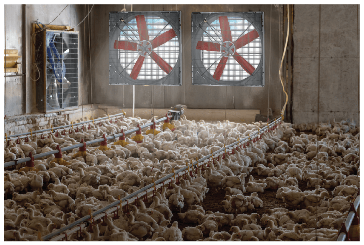 Galvanized Box Fans