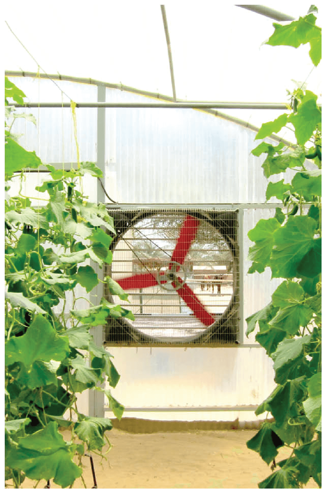 Galvanized Box Fans