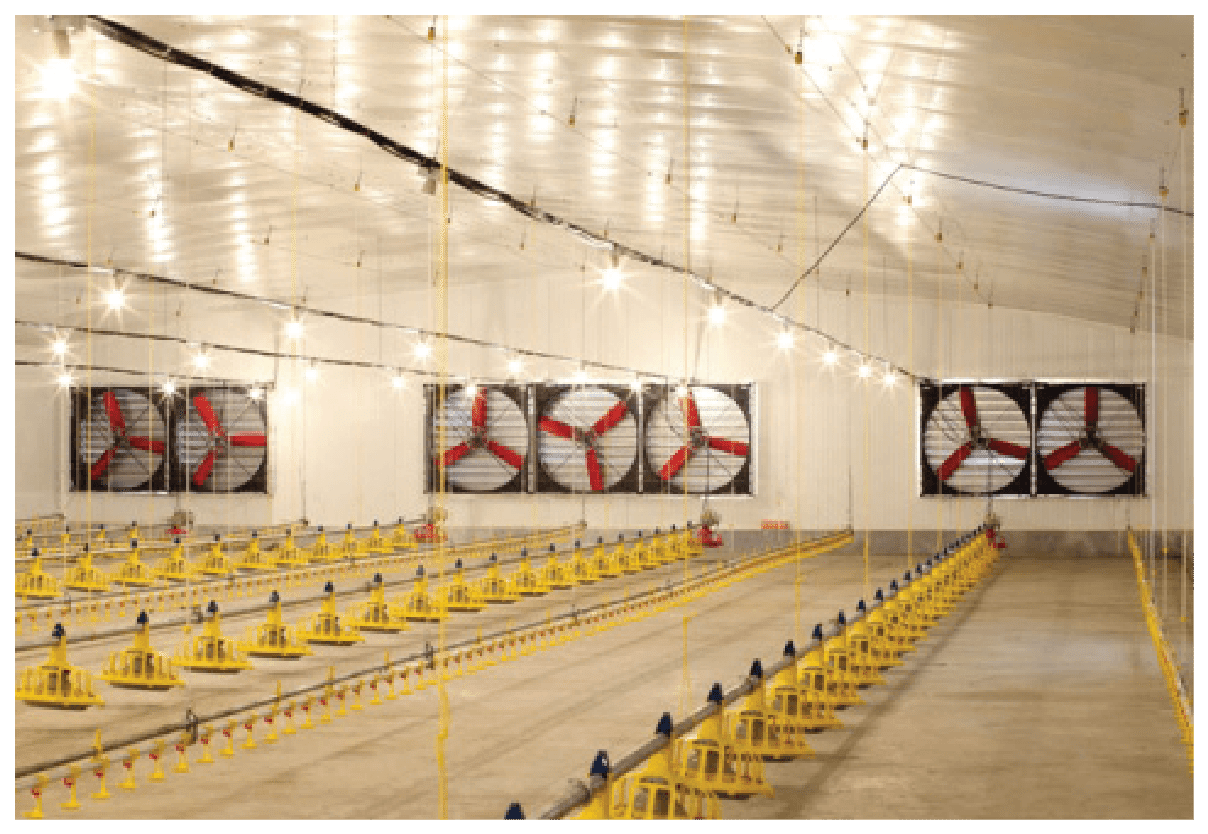 Galvanized Box Fans