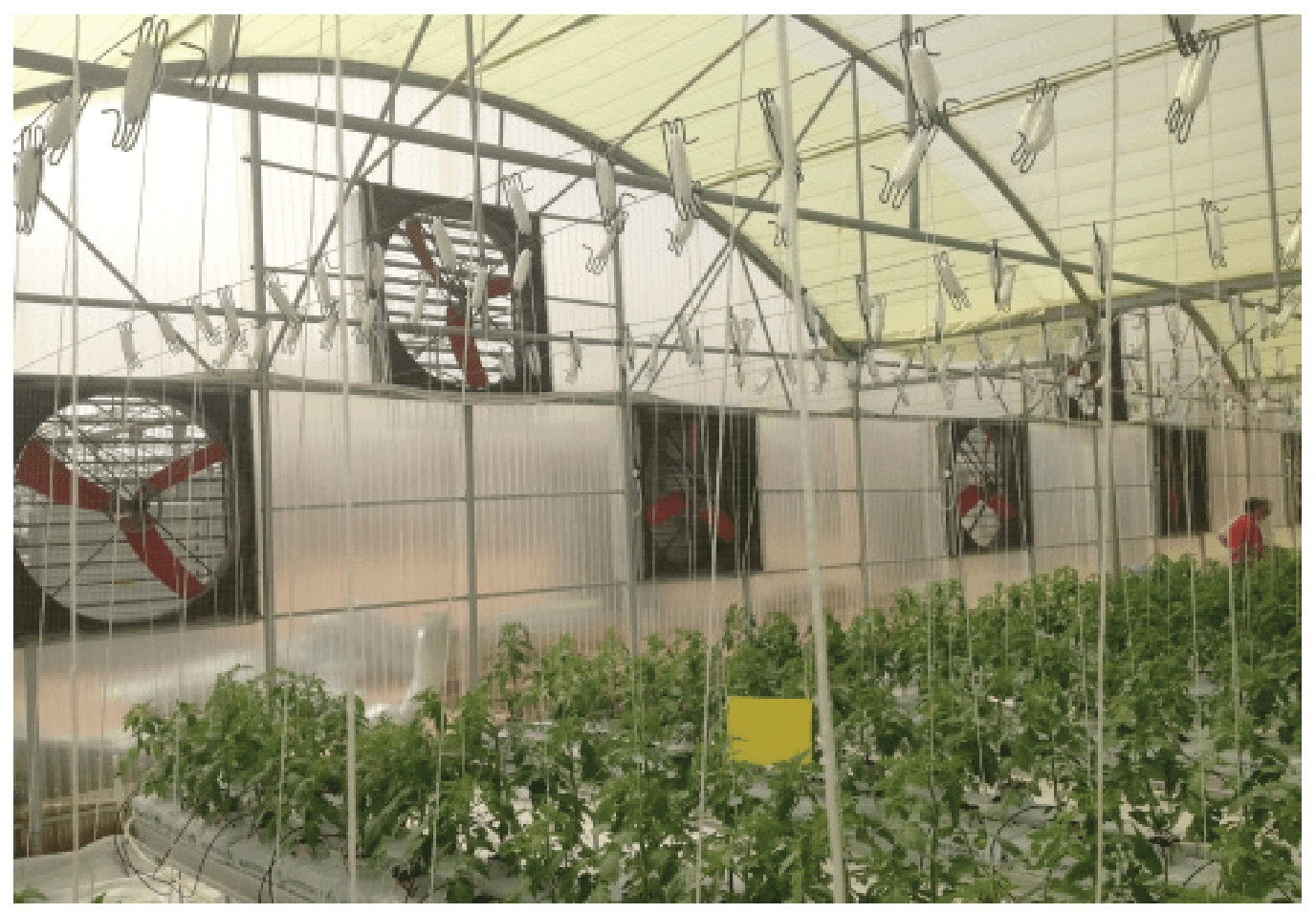 Galvanized Box Fans