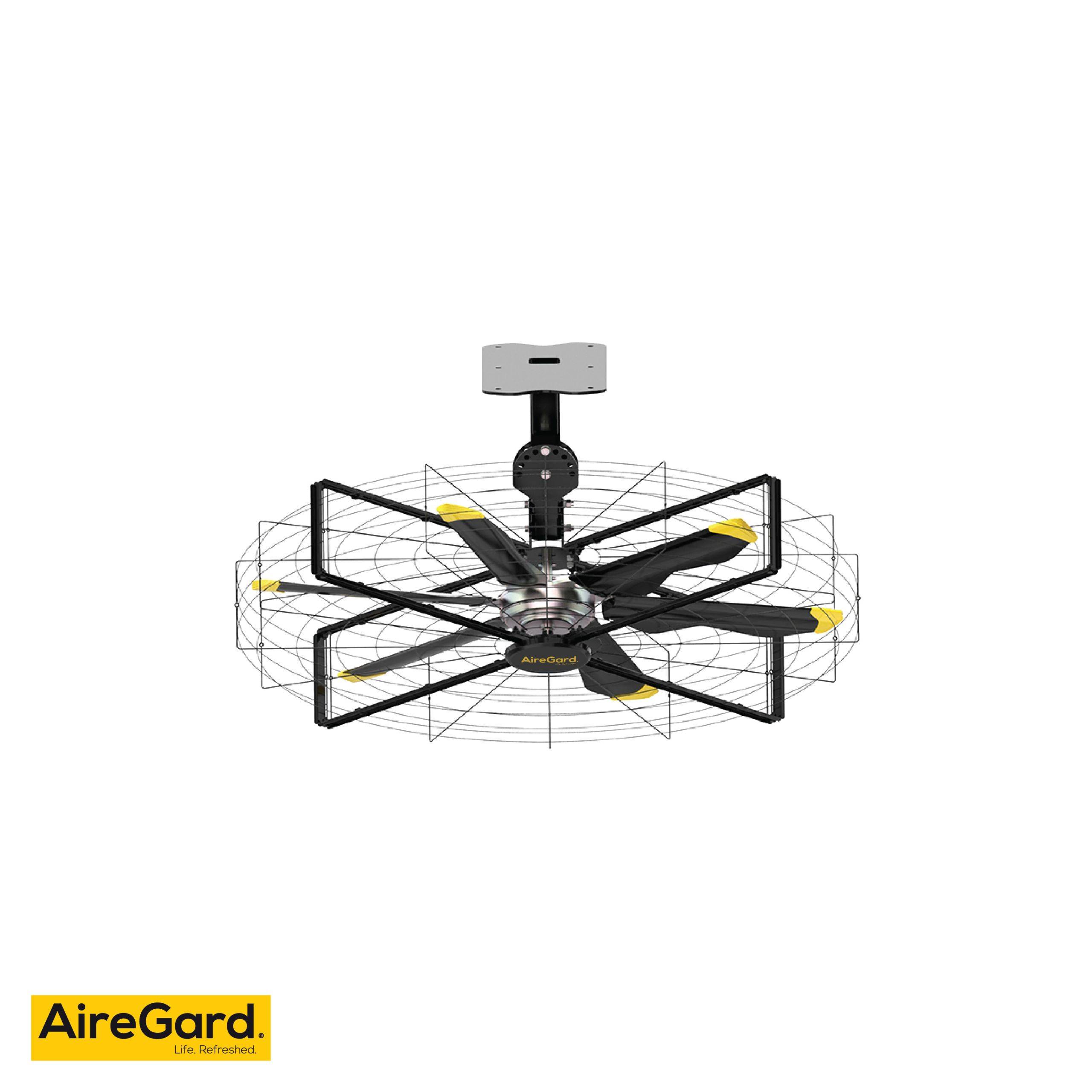 Wall Mounted Fans